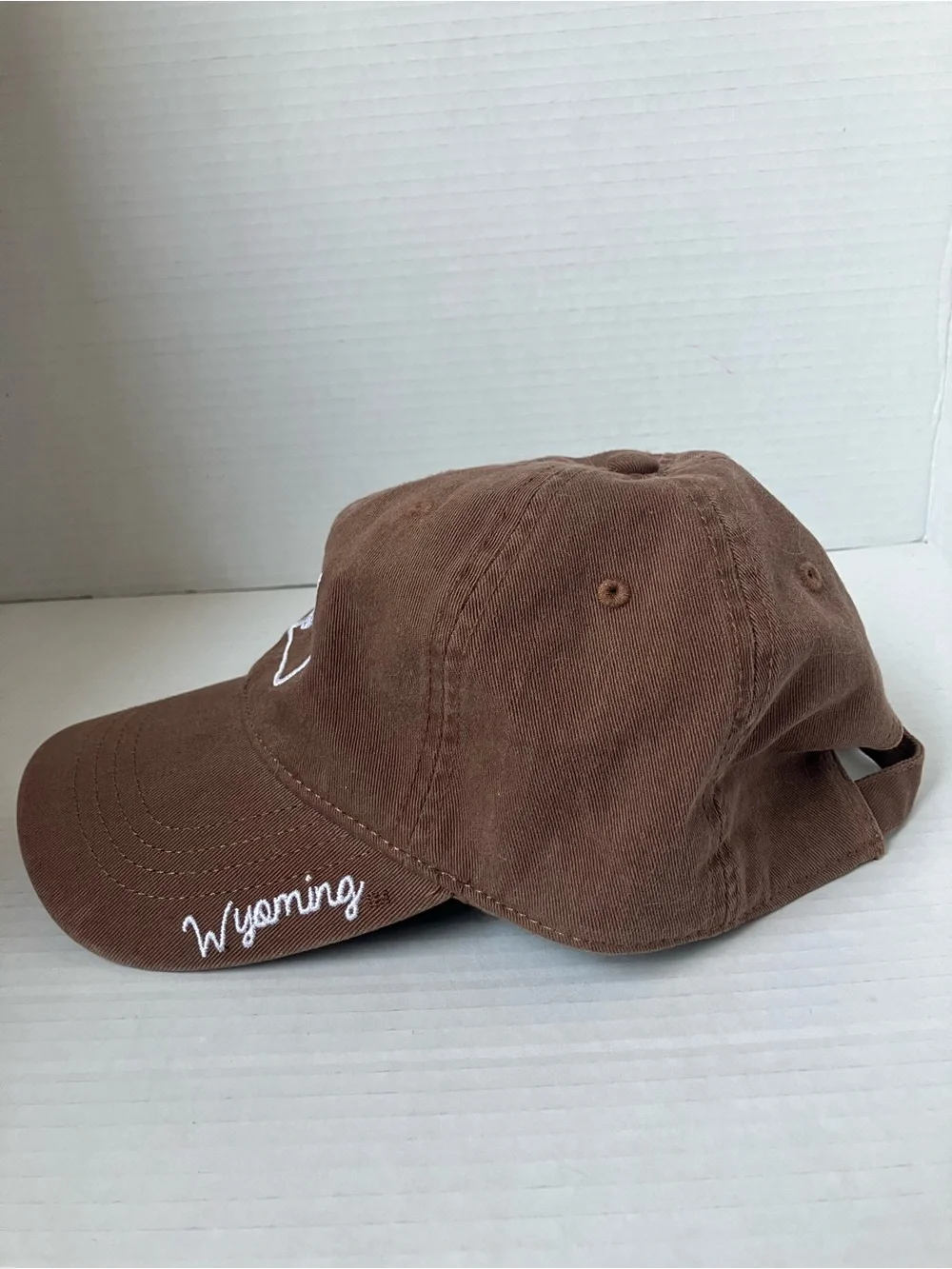 Wyoming Cowboys Embroidered Brown Baseball Cap Adjust Clip University UW Laramie
